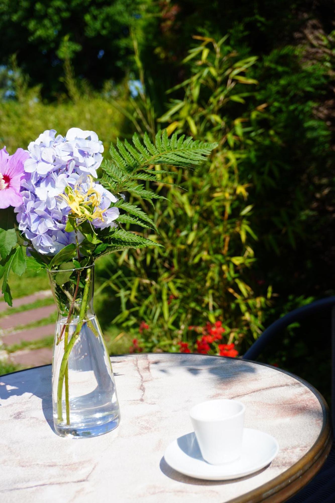 La Quintita - Avec Jardin Bed and breakfast Biarriz